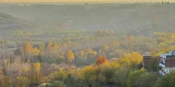 Li Amedê dem û demsal payîz e