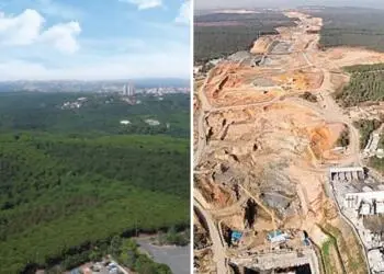 AKPê qada daristanê kir çolistan