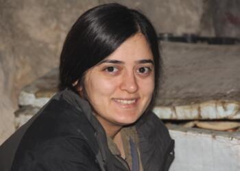 Malbata Alçîçek ji bo keça xwe Mîne Sevjîn şîn danîn