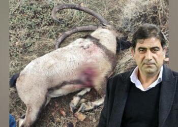 Parlamenterê ÎYÎ Partî Unal Kahramanî Dêrsim de pezkovî qetil kerde