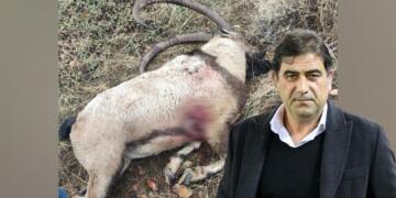 Parlamenterê ÎYÎ Partî Unal Kahramanî Dêrsim de pezkovî qetil kerde