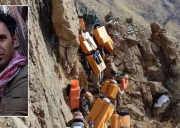 Çekdarên Îranê di 6 mehan de 142 kolber kuştin