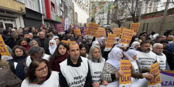 Meşa Çareseriya Demokratîk û Azadiyê dest pê kir