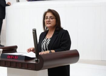 Ayten Kordu rojeva Meclîsî ra qeyûmê Dêrsimî ard