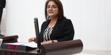 Ayten Kordu rojeva Meclîsî ra qeyûmê Dêrsimî ard