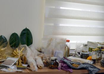 Amed de kitabxaneyê toximan yeno awankerdene