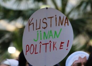 Di 2024an de 358 jin hatin kuştin