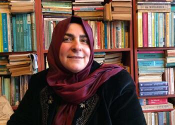 Fatma Bostan Unsal: Careke din şensê çareseriyê hatiye pêş Tirkiyeyê