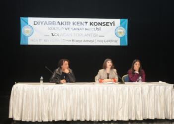 Meclîsê Kultur û Hunerî yê Konseya Amedî abî