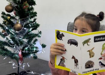 Kirmanckî/Zazakî de kitabê musnayîşî yê seba domanan