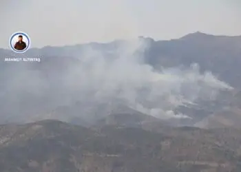 Mehê 500 hezar daran tune dikin