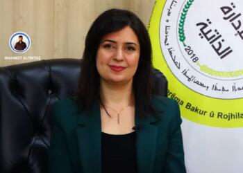 Evîn Siwêd: Ji bo mafê xwe divê em bibin yek