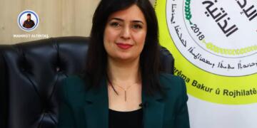 Evîn Siwêd: Ji bo mafê xwe divê em bibin yek