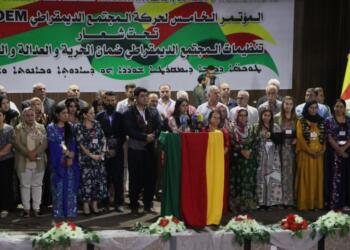 TEV-DEM: Em hevgirtinê xurt bikin