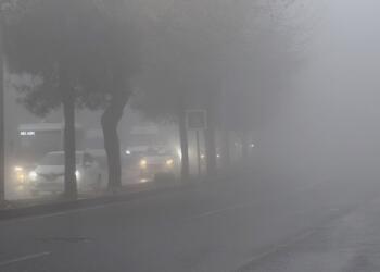 Li Amedê mij û moran