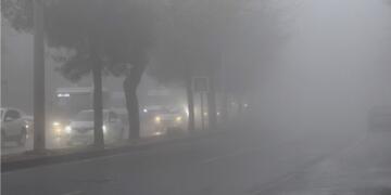 Li Amedê mij û moran