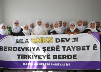 Meclîsê Dayîkanê Aştîye yê Amedî veng da: Wa Kurdî çar parçeyan de bibê yew