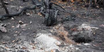 Rojnameger Çinar Goktaş: Dewleta Tirk axê jahrînî dike