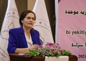 Îlham Ehmed: Destpotîzm bi dawî bûye