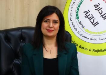 Evîn Siwêd: Hêzen hegemon li ser xistina Sûrî li hev kirin