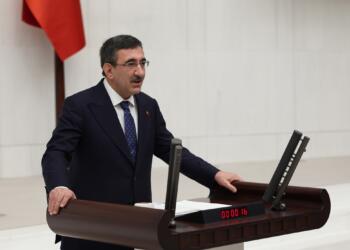 Înkarê “Kurdkî reyde problemê ma çin o” domnenê