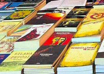 Edebîyatê Kirmanckî/Zazakî de roman