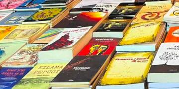 Edebîyatê Kirmanckî/Zazakî de roman