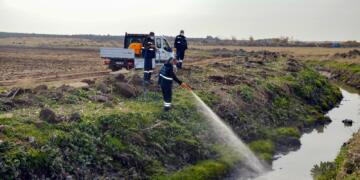 Vera kêzik û melşeyan xebata zimistanî ya hîraye dest pêkerd
