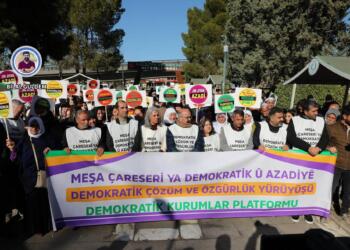 Çalakvanên meşê: Em ê banga mîsogeriya aştiya civakî bikin