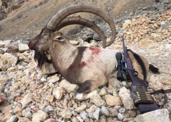 Seba pezkovan Meclîs ra mektub