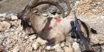 Seba pezkovan Meclîs ra mektub