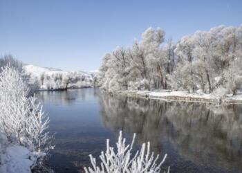 Newala Dêrsimî de dîmenê qişî