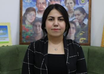 “Ganî cinîyî qanûnê bingeyî yê neweyî awan bikerê”