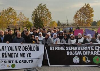 3 cayanê sinorî de planê çalakîya pîle