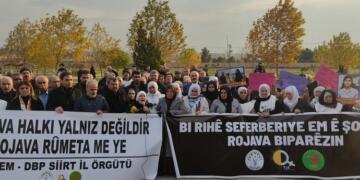 3 cayanê sinorî de planê çalakîya pîle