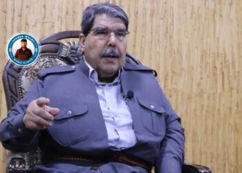 Salih Muslim: Divê hêzeke navneteweyî were Tişrînê