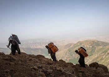 Îranê di 2024an de 51 kolberên kurd kuştin