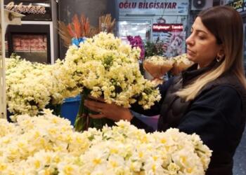 Xeberdara wisarî nêrgize emserre lez akerd