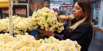 Xeberdara wisarî nêrgize emserre lez akerd