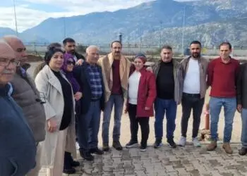 Piştî 30 salan serbest hat berdan