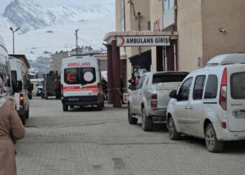 Bi çeka cerdevanan zarokek mir