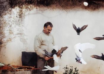 Buroya Hiqûqê ya Asrinê têkildarî Abdullah Ocalan daxuyanî da