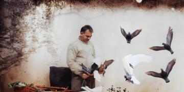 Buroya Hiqûqê ya Asrinê têkildarî Abdullah Ocalan daxuyanî da