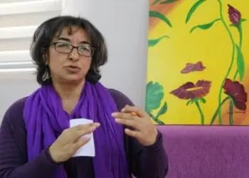 Ayşe Gokkan: Divê hemû saziyên sivîl ji bo aştiya civakî bibin seferber