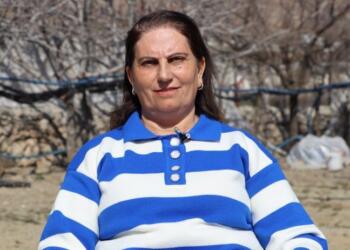 Seba Hemşaredara Hênêyî ceza ame waştiş