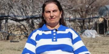 Seba Hemşaredara Hênêyî ceza ame waştiş