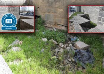 Deyîrêka bi balkêş: Çirra Arbedaş