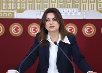 Koçyîgît: Divê ji bo azadiya Ocalan gav bên avêtin