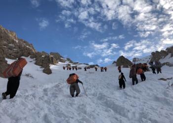 Di 2024an de 63 kolber kuştin