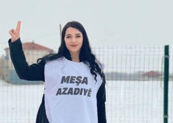 Rojbîn Kartal a DEM Partiyî hate girtin